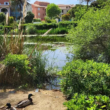 T3 Climatise Avec Piscine, Wi-fi Et Parking - A 200 M Des Plages Et Commerces - Fr-1-316-291 Apartment *