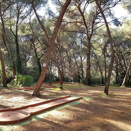 T3 Climatise Avec Piscine, Wi-fi Et Parking - A 200 M Des Plages Et Commerces - Fr-1-316-291 Apartment Six-Fours-les-Plages